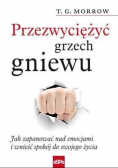 Przezwyciężyć grzech gniewu. Jak zapanować nad emocjami i wnieść spokój do swojego życia