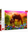 Puzzle Konie na łące