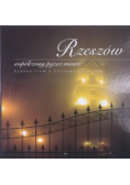 Rzeszów współczesny pejzaż miasta