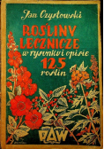 Rośliny lecznicze w rysunku i opisie 125 roślin 1948 r.