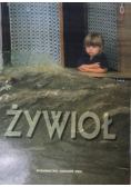 Żywioł