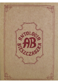 Antologia bieszczadzka