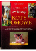 Koty domowe