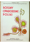 Rośliny owadożerne polski 1931r
