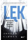 Lęk Neuronauka na tropie źródeł lęku i strachu