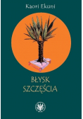 Błysk szczęścia