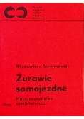 Żurawie samojezdne