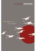The Decay of the Angel
