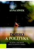 Dobro a polityka