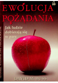 Ewolucja Pożądania Jak ludzie dobierają się w pary