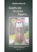 Kapliczki krzyże figury