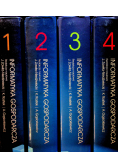 Informatyka gospodarcza 4 tomy