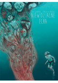 Niewidzialne echa