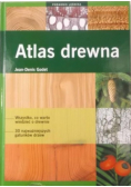 Atlas drewna
