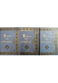 Historya XIX stulecia 3 Tomy 1901r