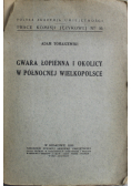 Gwara Łopienna i okolicy w północnej Wielkopolsce 1930 r.