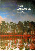 Przy sadzawce Siloe