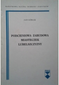 Podcieniowa zabudowa miasteczek Lubelszczyzny