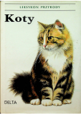 Koty
