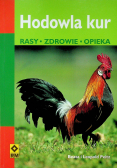 Hodowla kur Rasy zdrowie opieka