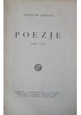 Dębicki Poezje 1924 r.