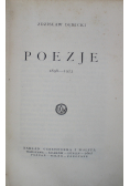 Poezje Dębicki 1924 r.