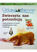 Ciekawe dlaczego zwierzęta nas potrzebują i inne pytania na temat współistnienia ludzi i zwierząt