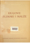 Krajowe ślimaki i małże