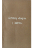 Skromy chłopiec w haremie