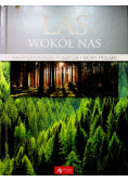 Las wokół nas