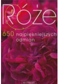 Róże 650 najpiękniejszych odmian