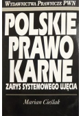 Polskie prawo karne