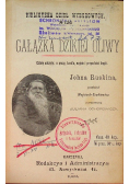 Gałązka dzikiej oliwy  1900 r.