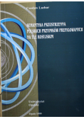 Semantyka przestrzenna polskich przyimków prefigowanych na tle rosyjskim