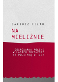 Na mieliźnie. Gospodarka Polski w latach 2020 - 2022