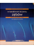 Kliniczne postępowanie w kanałowym leczeniu zębów