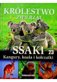 Królestwo zwierząt Tom 23 Ssaki kangury koala i kolczatki