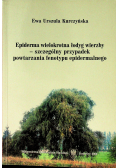 Epiderma wielokrotna łodyg wierzby