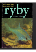 Ryby zwierzęta świata