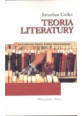 Teoria działania