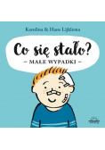 Co się stało Małe wypadki