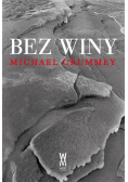 Bez winy