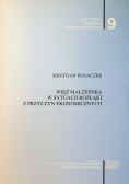 Więź małżeńska w sytuacji rozłąki z przyczyn ekonomicznych