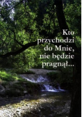 Kto przychodzi do Mnie nie będzie pragnął