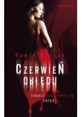 Czerwień obłędu