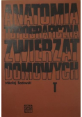 Anatomia topograficzna zwierząt domowych