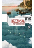 Wody głębokie jak niebo