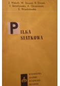 Piłka siatkowa