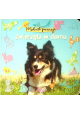 Maluch poznaje Zwierzęta w domu