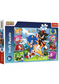 Puzzle Poznaj Sonica